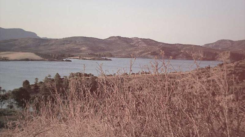 Canlı Casino ve Bahis Görseli